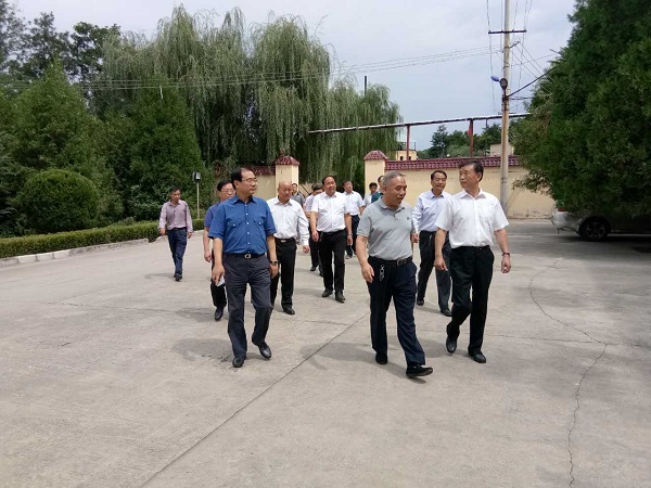 һ��ͷ����Ƭ