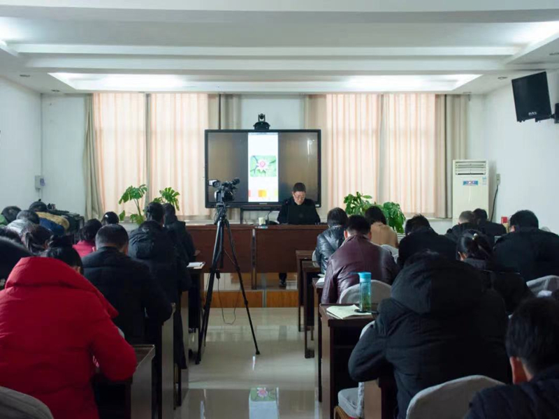 ΢��ͼƬ_20210111092357_����